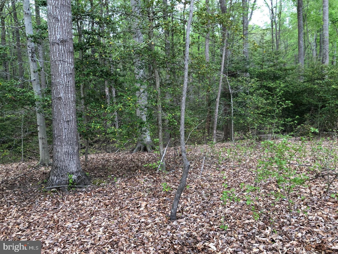 9045 Genevieve Dr Property Photo 1
