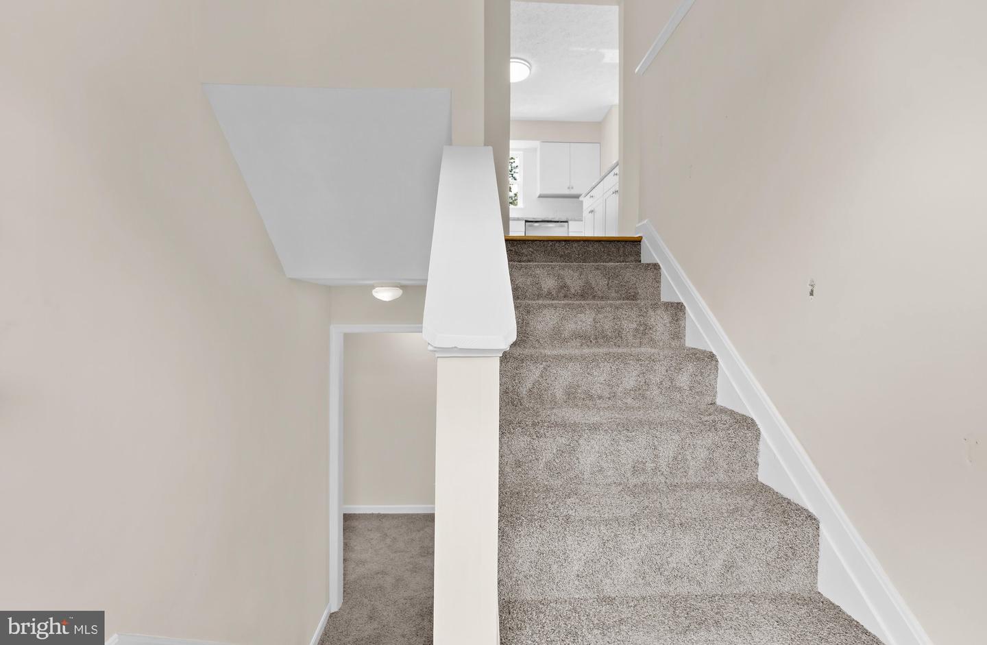 2118 Marbella Dr Property Photo 3