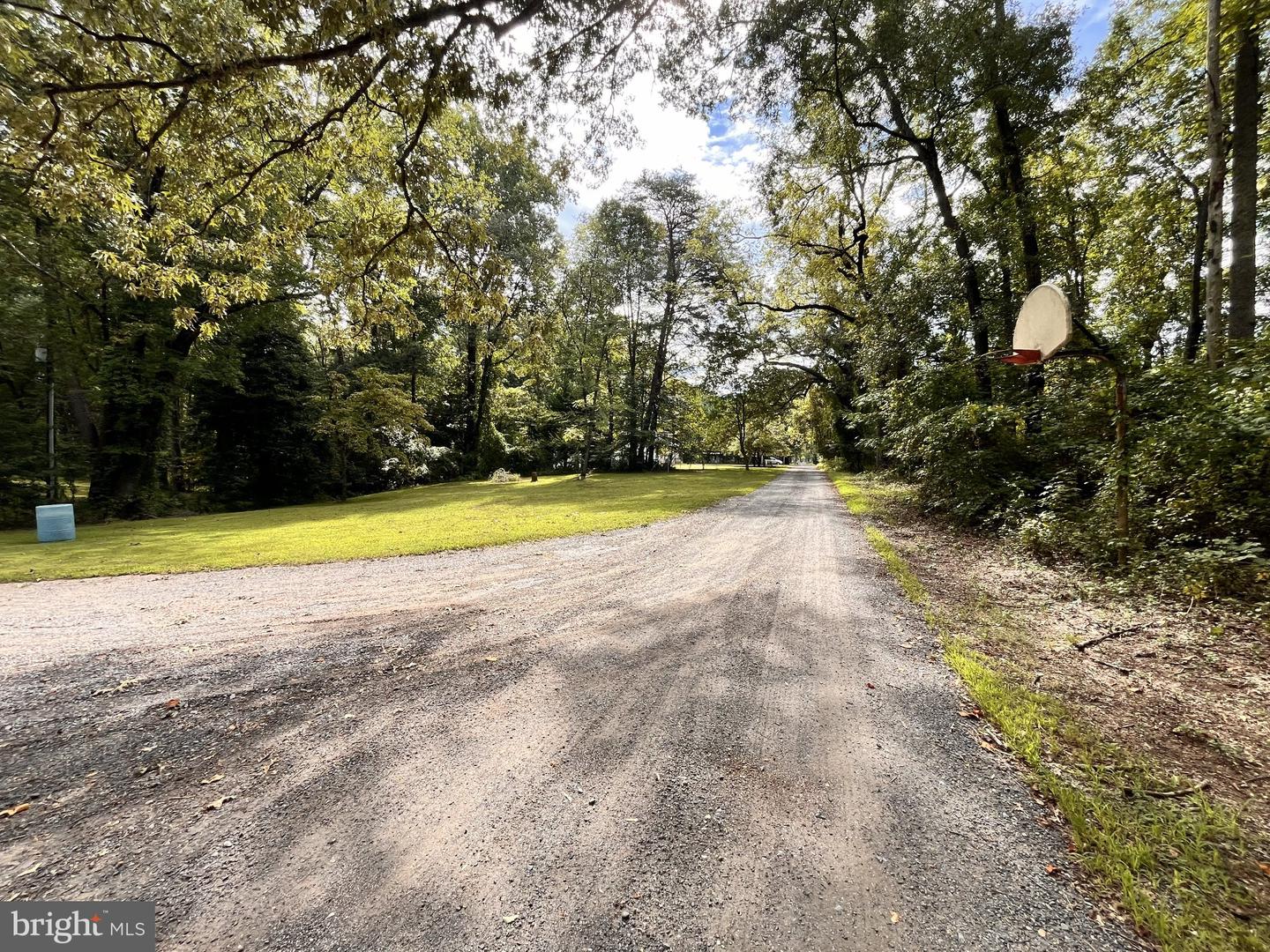2220 Black Walnut Pl Property Photo 6