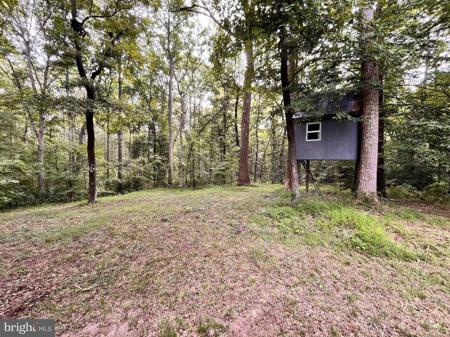 2220 Black Walnut Pl Property Photo 29