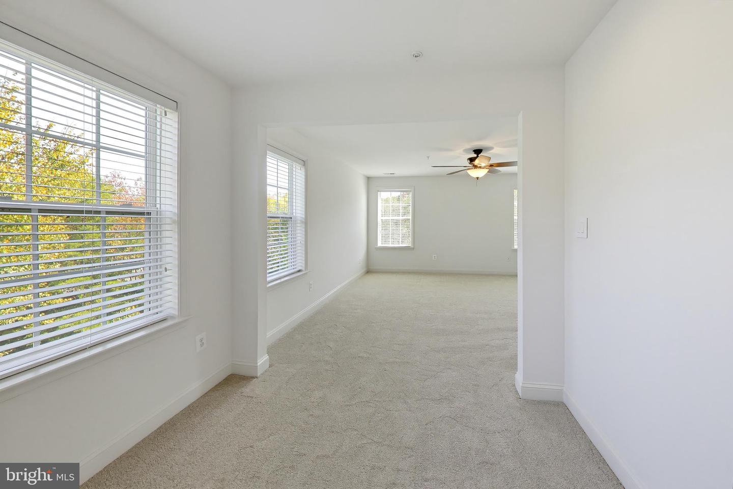 6824 Barlowe Ct Property Photo 64