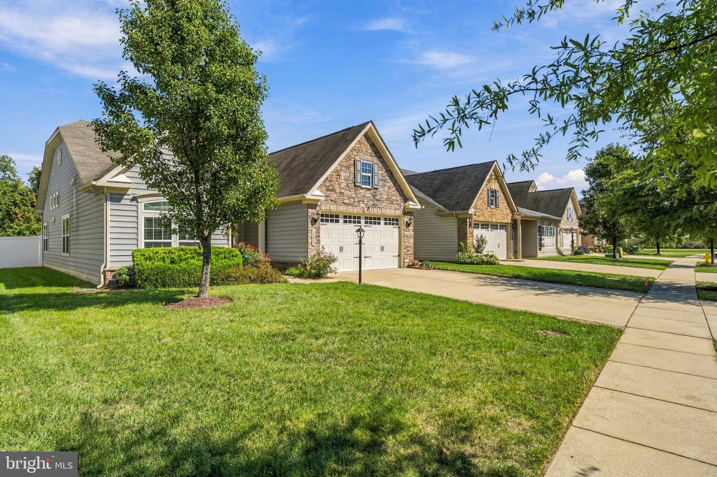10652 Shadow Park Ct Property Photo 4