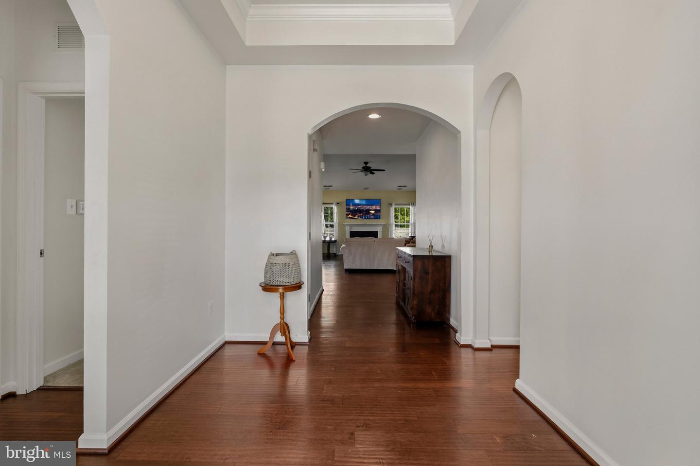 10652 Shadow Park Ct Property Photo 9
