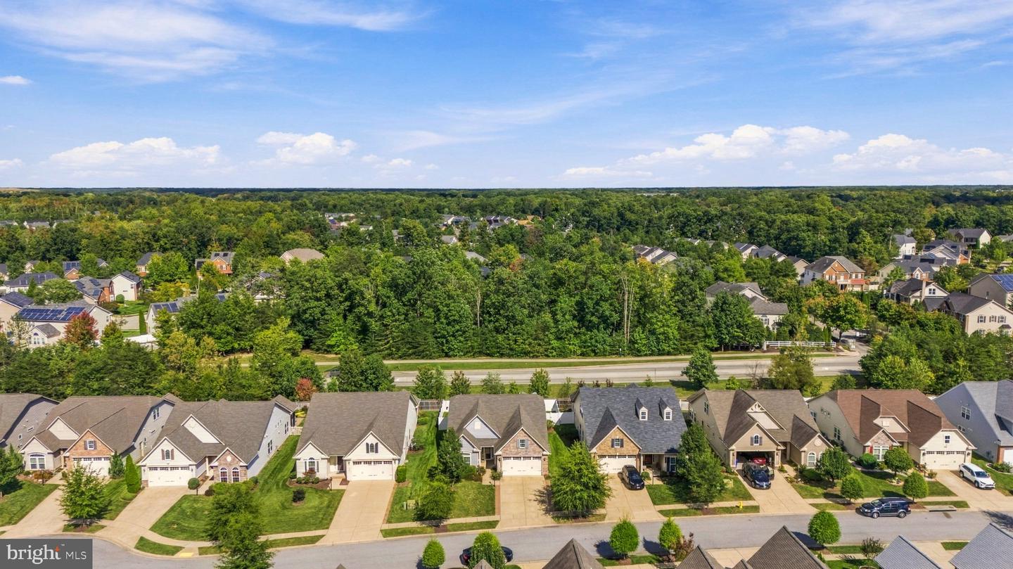 10652 Shadow Park Ct Property Photo 44