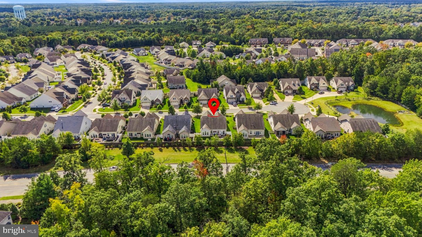 10652 Shadow Park Ct Property Photo 46
