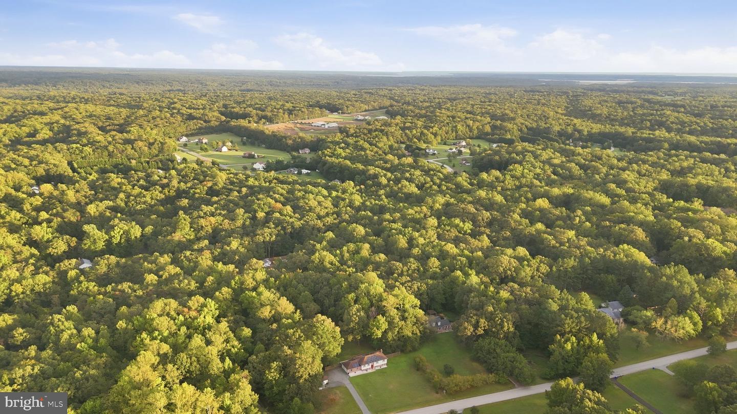 11567 Deer Ln Property Photo 112