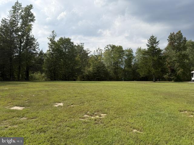 3310 Russian Pl Property Photo 10