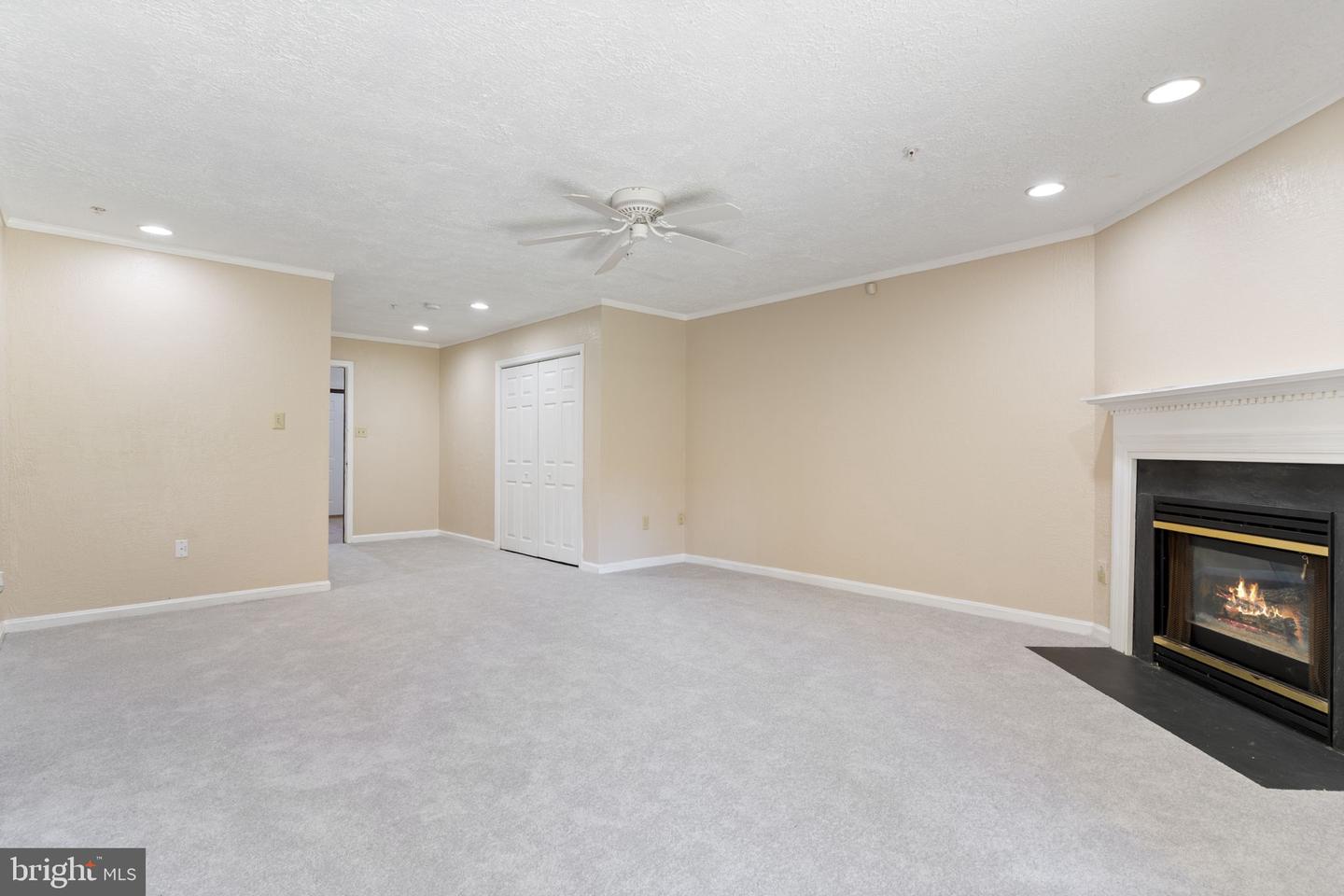 5007 Doctorfish Ct Property Photo 29
