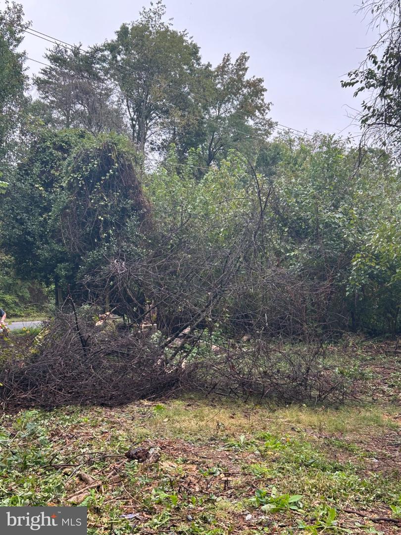 9570 Ironside Rd Property Photo 11