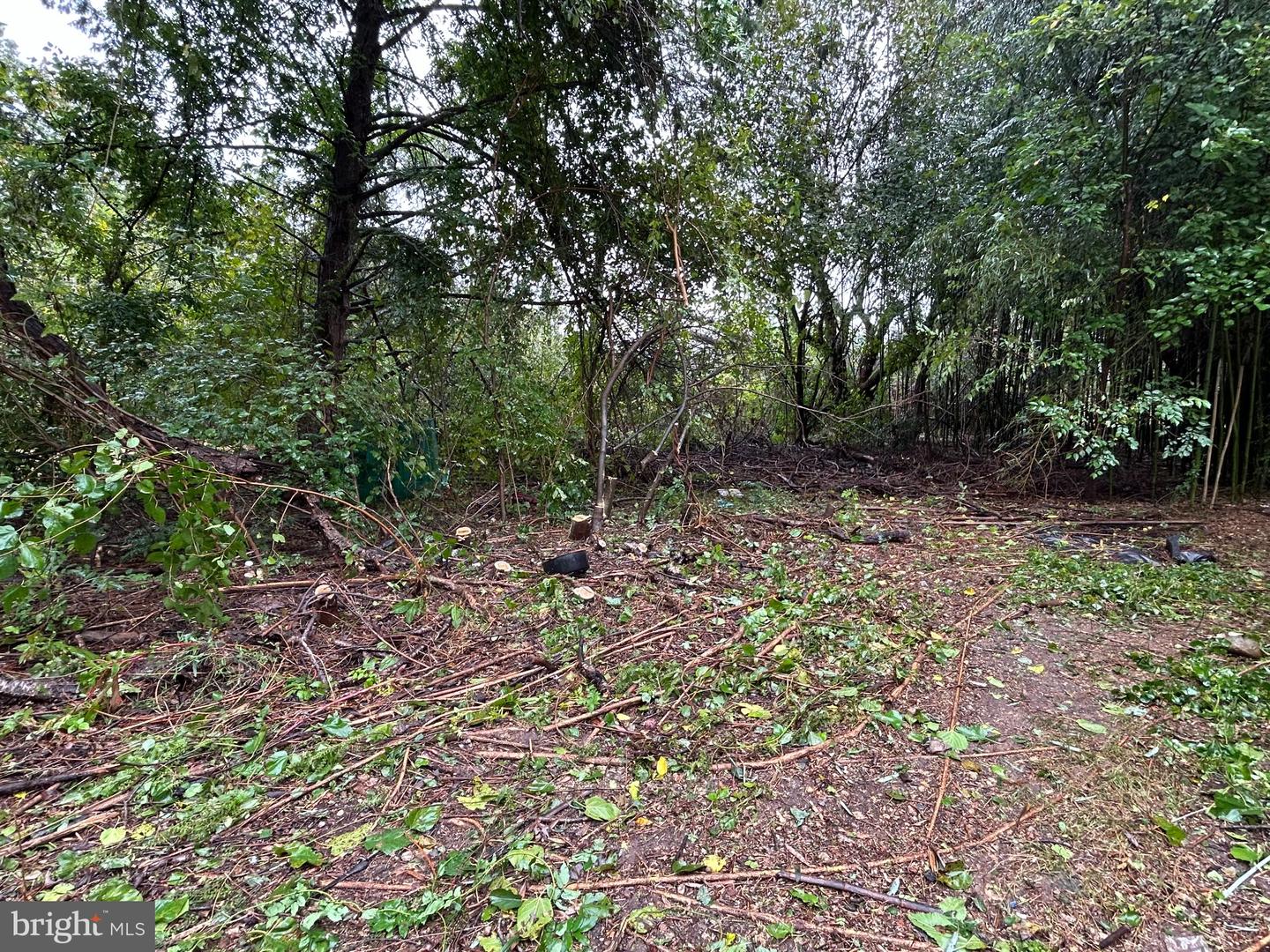 9570 Ironside Rd Property Photo 16