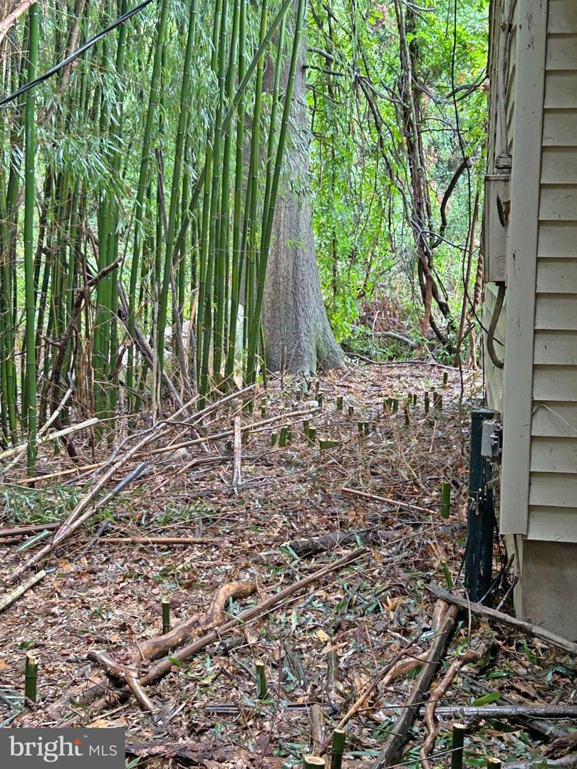 9570 Ironside Rd Property Photo 17