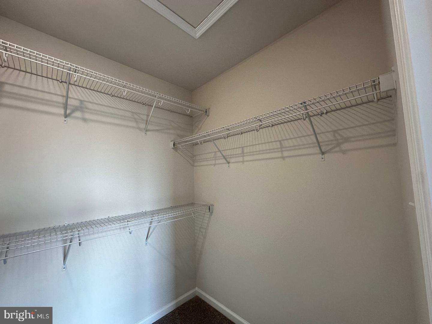 10519 Cobbler Pl Property Photo 21