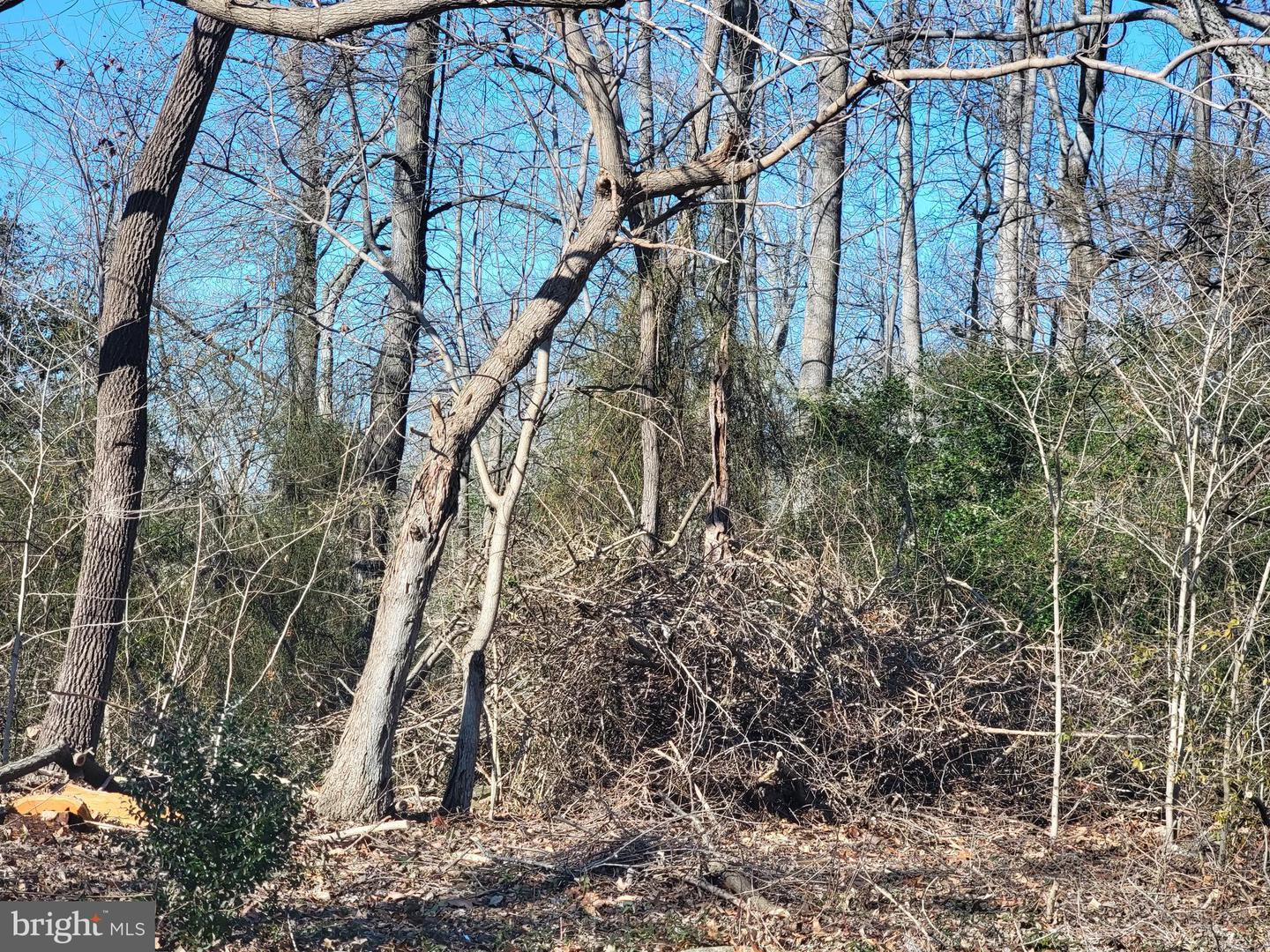 8916 Double Hills Rd N Property Photo 6