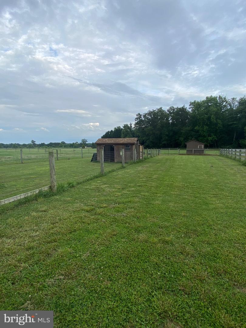 13056 Hog Lot Rd Property Photo 60
