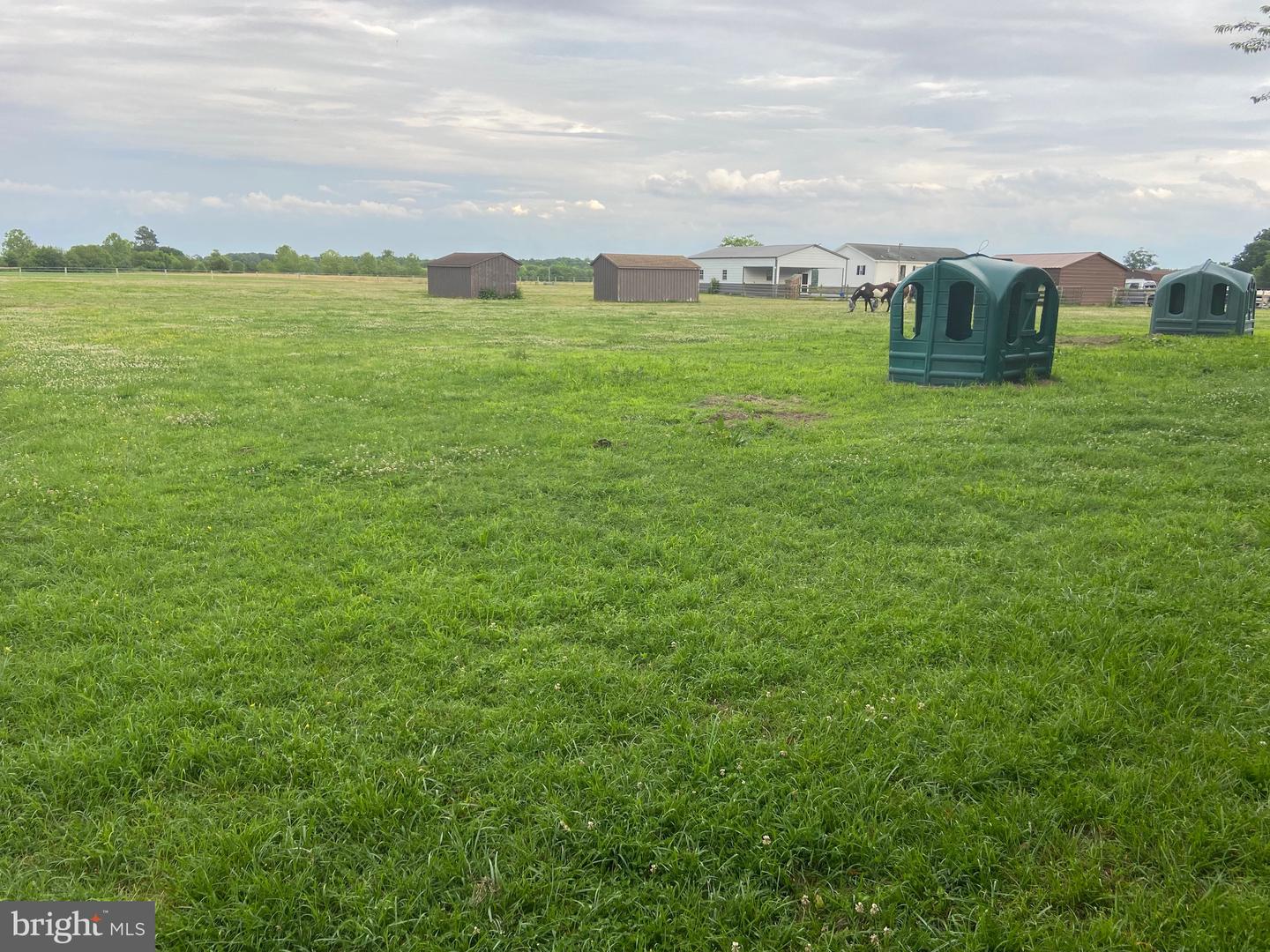 13056 Hog Lot Rd Property Photo 66