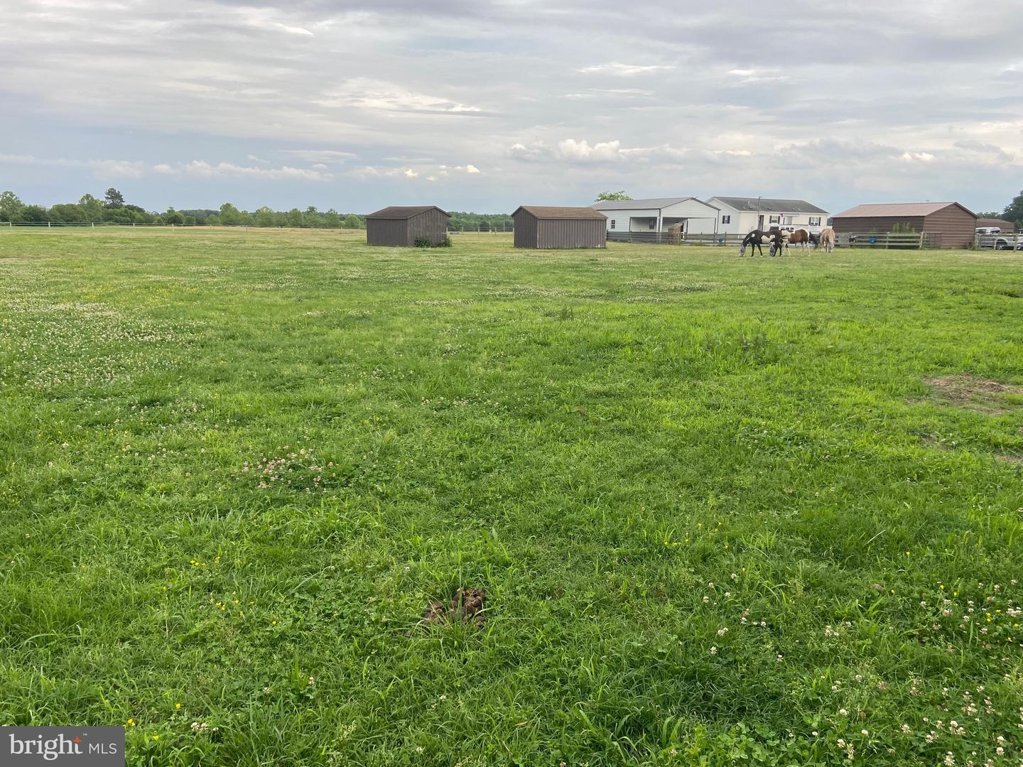 13056 Hog Lot Rd Property Photo 67