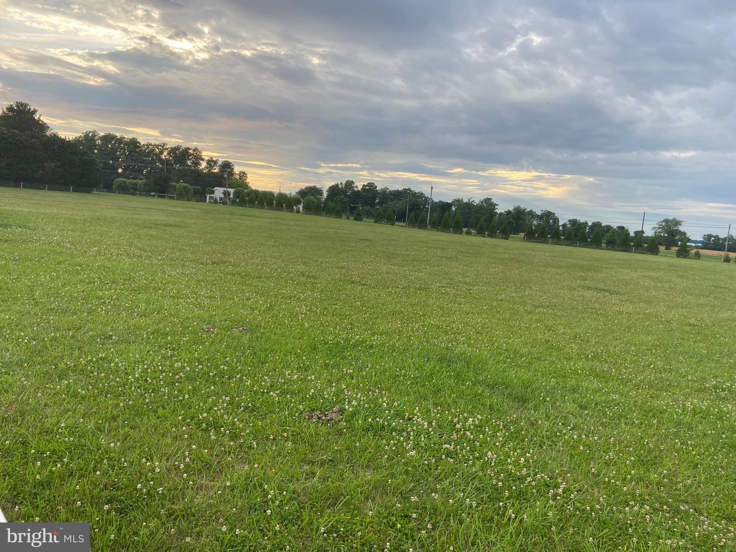 13056 Hog Lot Rd Property Photo 68
