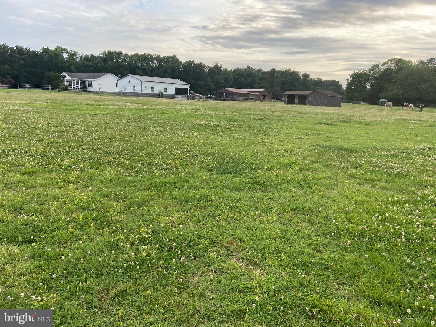 13056 Hog Lot Rd Property Photo 69