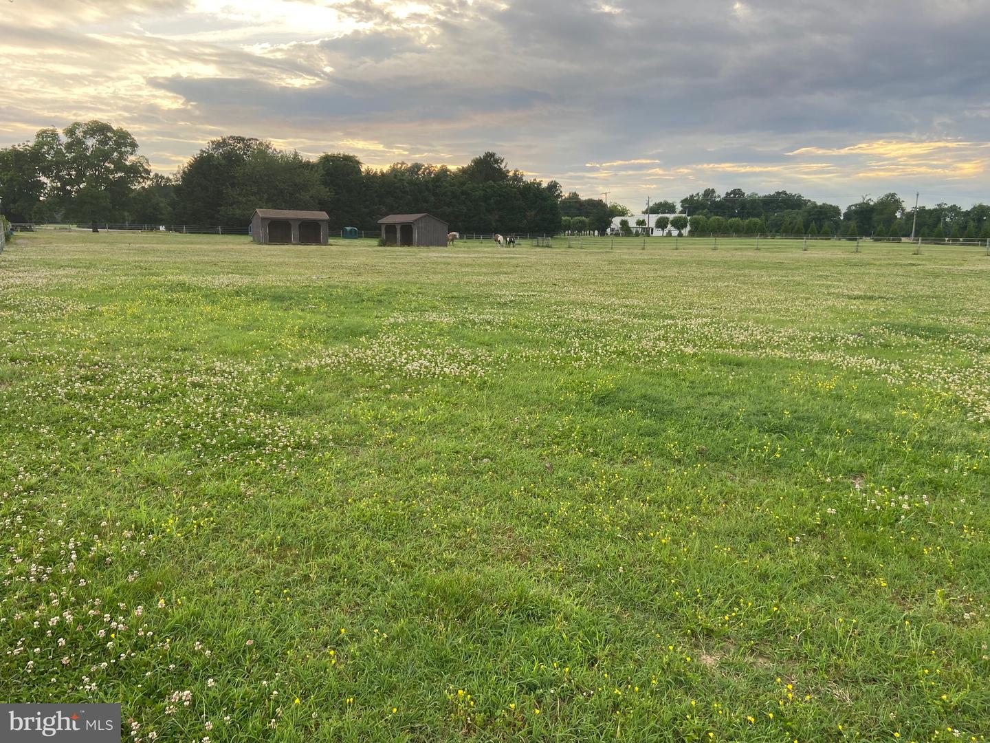 13056 Hog Lot Rd Property Photo 71