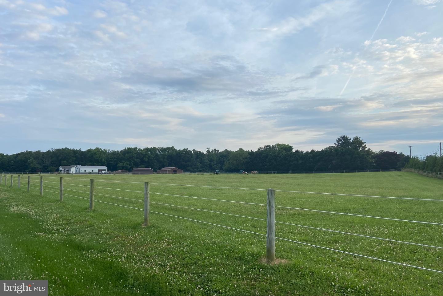 13056 Hog Lot Rd Property Photo 73