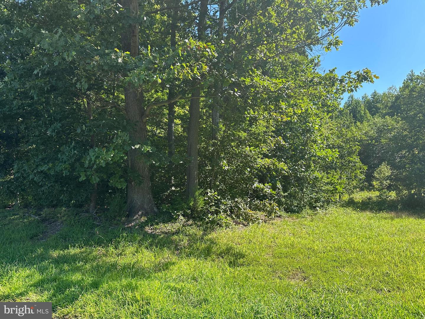 Nichols Farm Lot #3 Property Photo 2