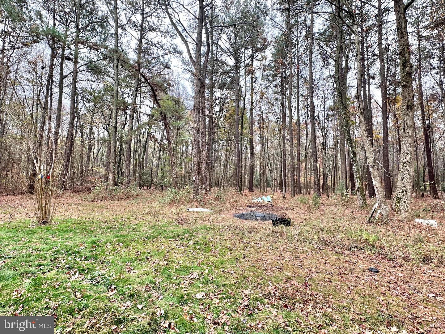 21781 Wood Wharf Rd Property Photo 6