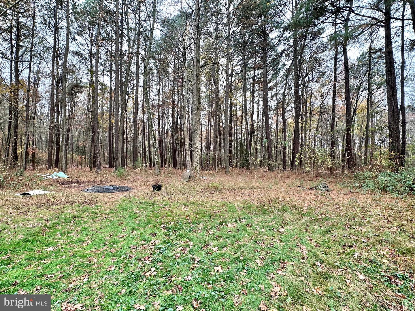 21781 Wood Wharf Rd Property Photo 14