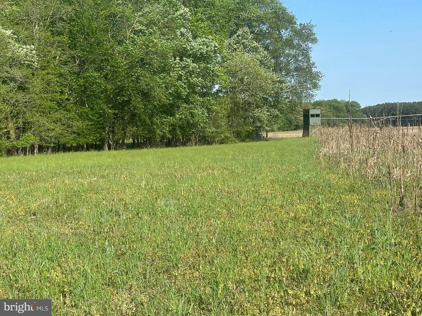 MARBLEHEAD RD Property Photo 1
