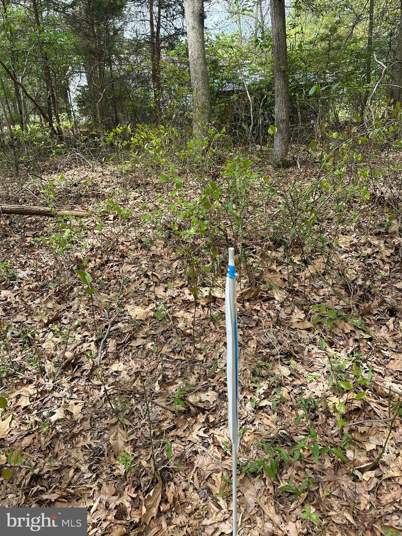 Parcel 91 Cool Spring Property Photo 11