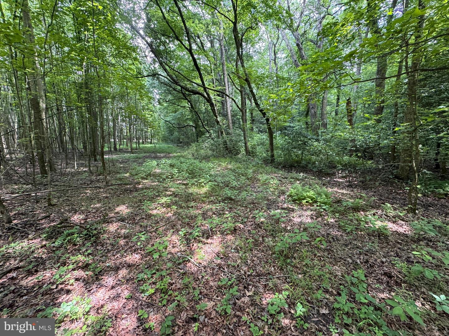 Trunk Line Rd Property Photo 2