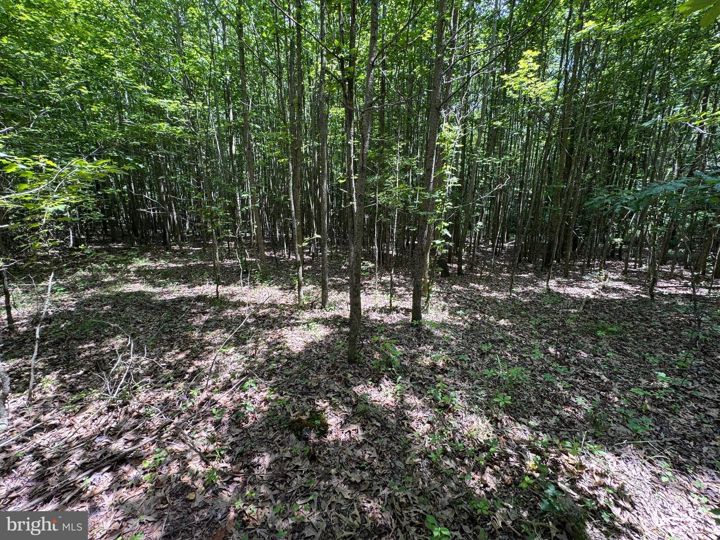Trunk Line Rd Property Photo 4