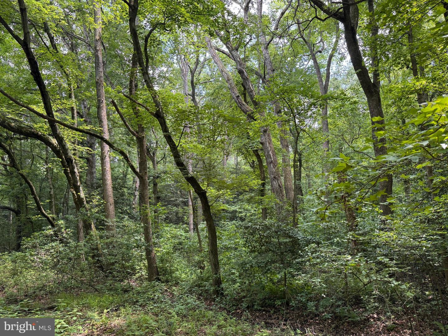 Trunk Line Rd Property Photo 5