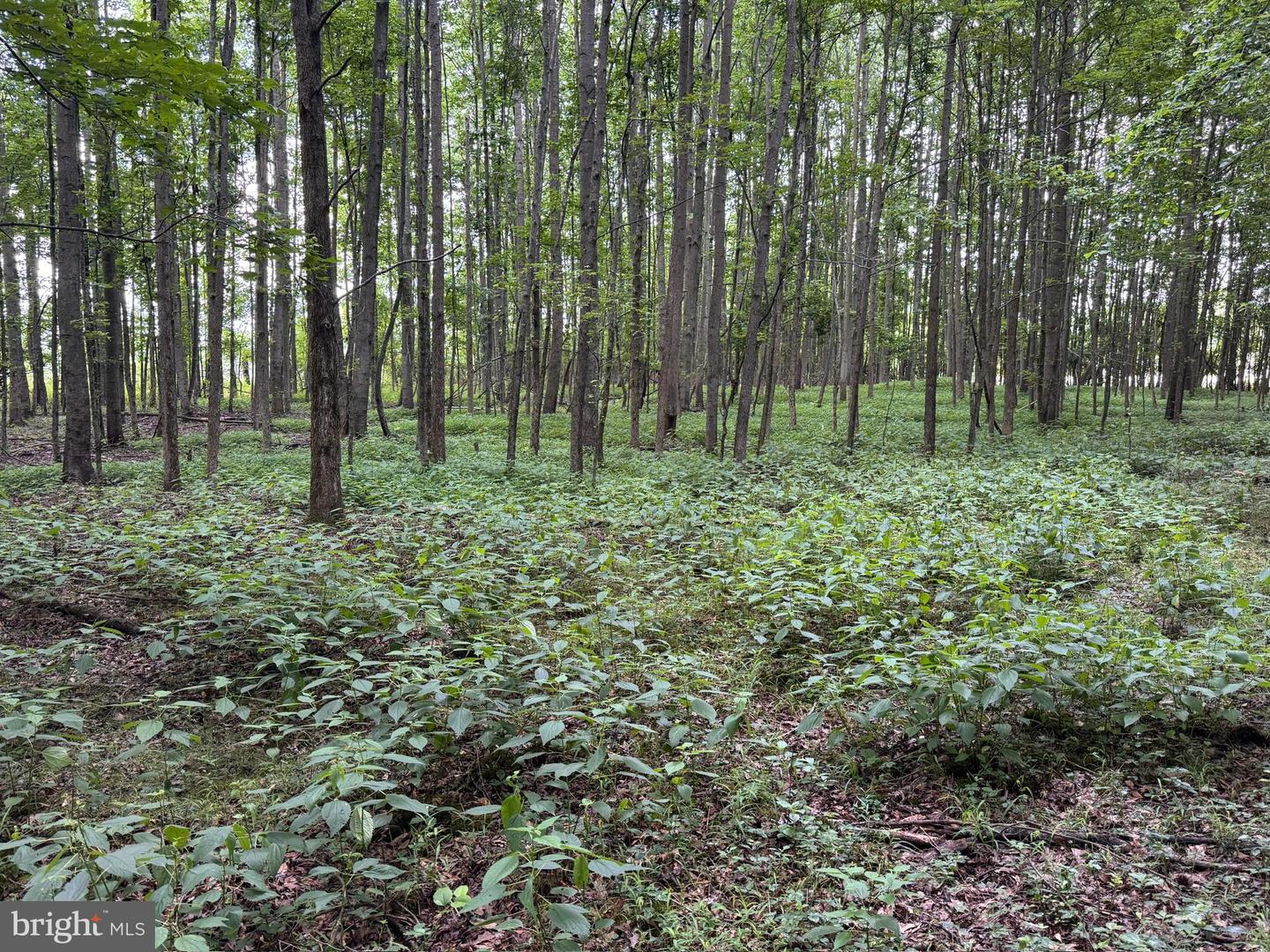 Trunk Line Rd Property Photo 6