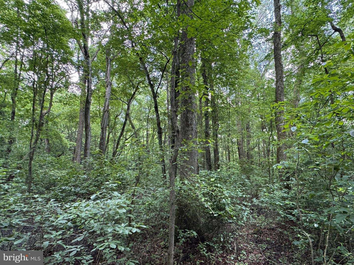 Trunk Line Rd Property Photo 7