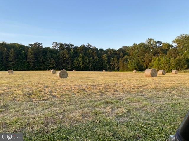 3069 Choptank Rd Property Photo 30