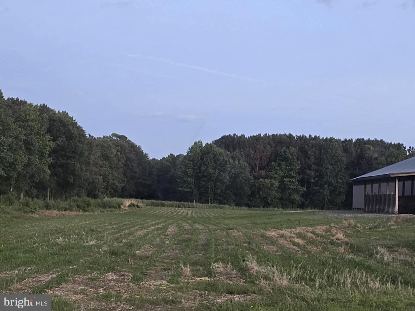 8019 Patten Rd Property Photo 5
