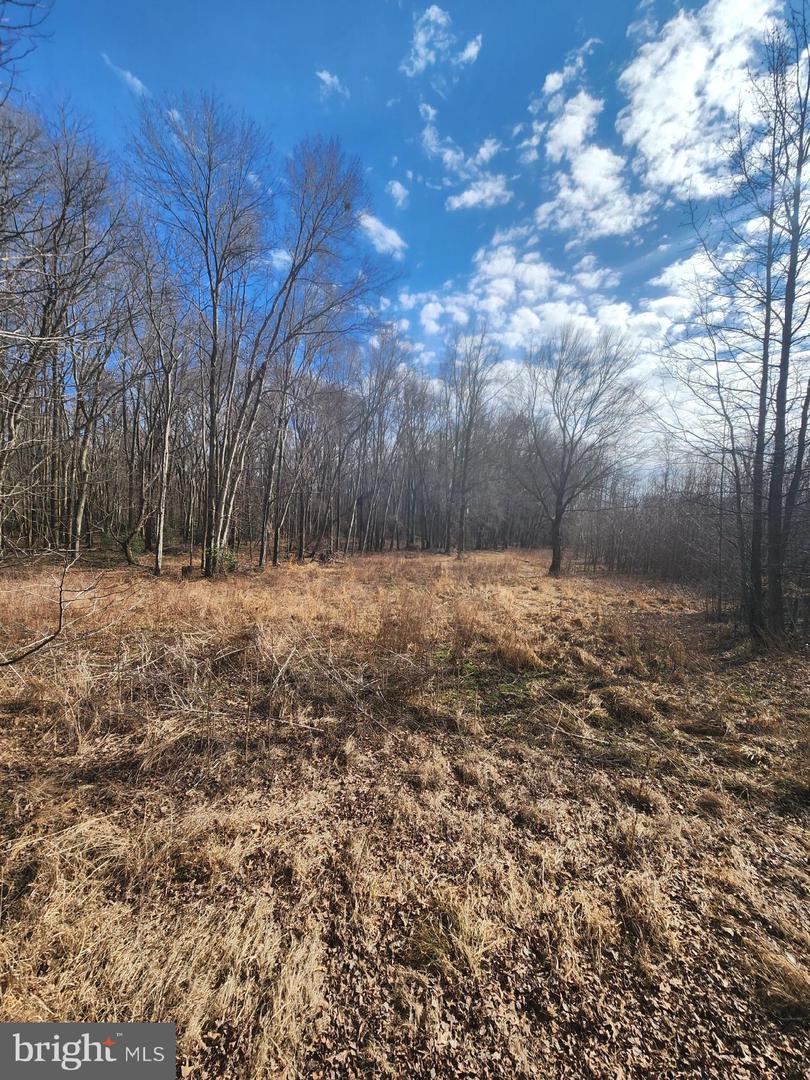 15589 Union Rd Property Photo 3