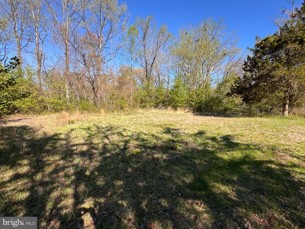 27202 Sandtown Rd Property Photo 2