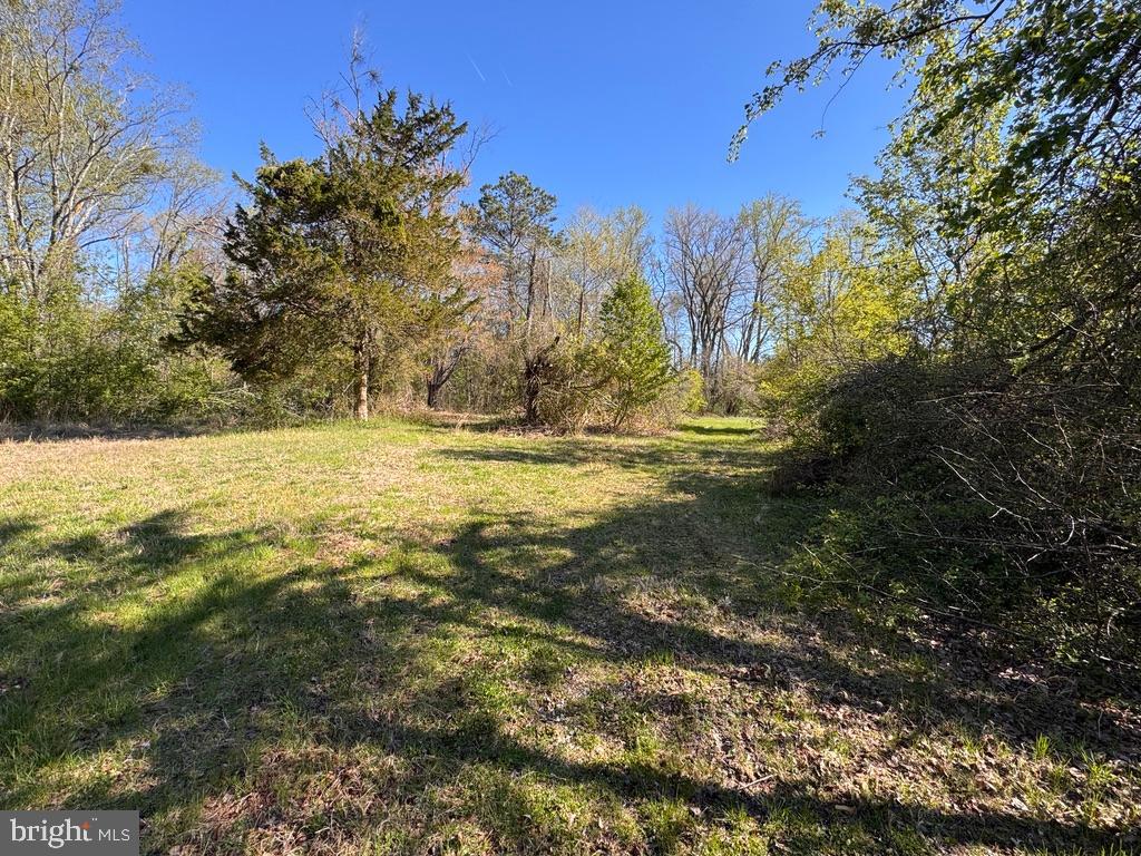 27202 Sandtown Rd Property Photo 3