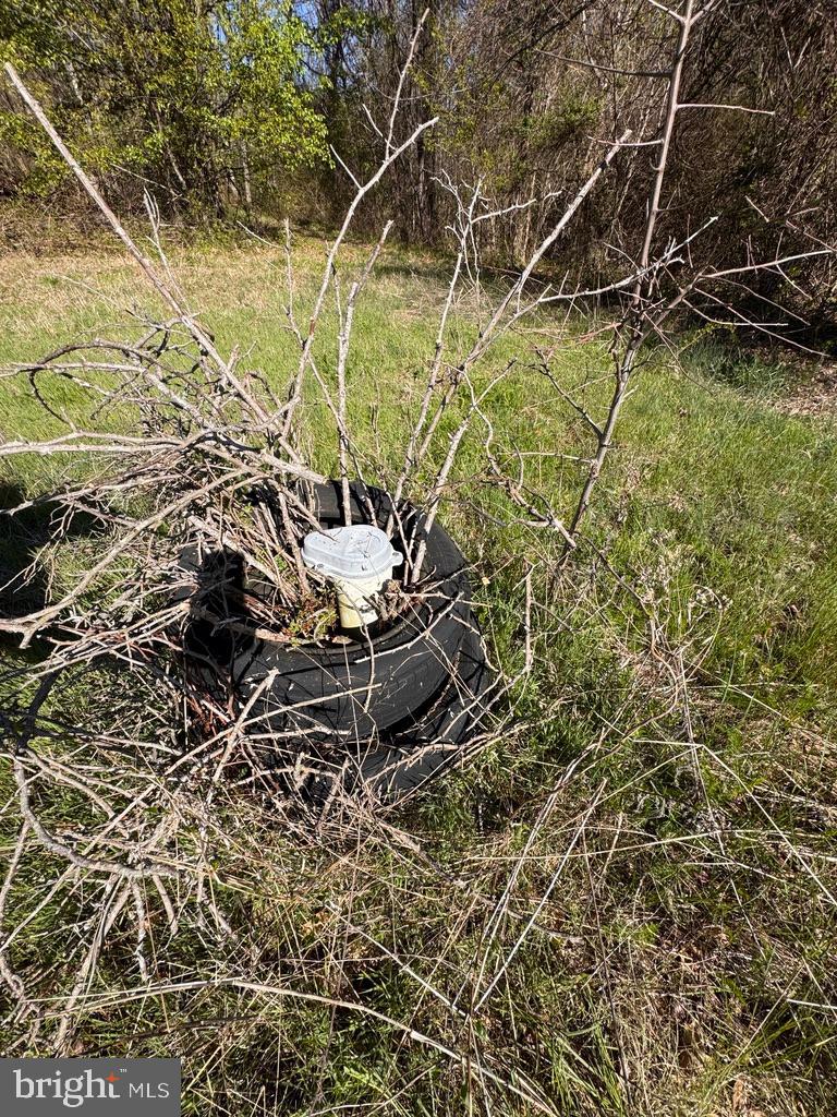 27202 Sandtown Rd Property Photo 5
