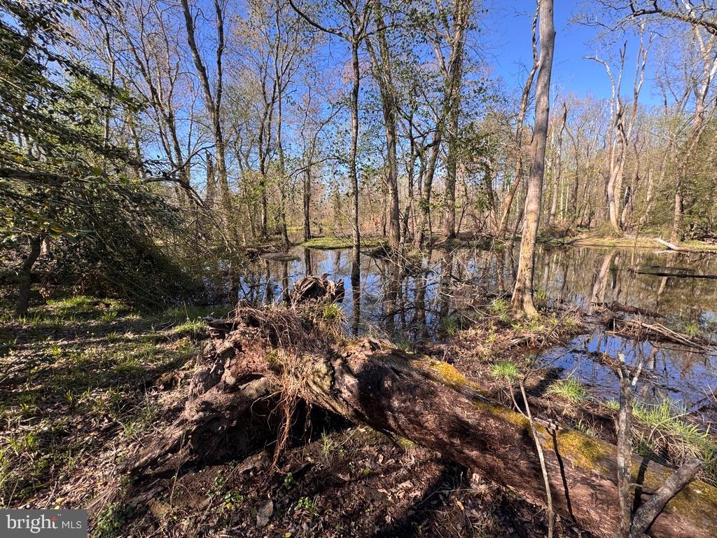 27202 Sandtown Rd Property Photo 6