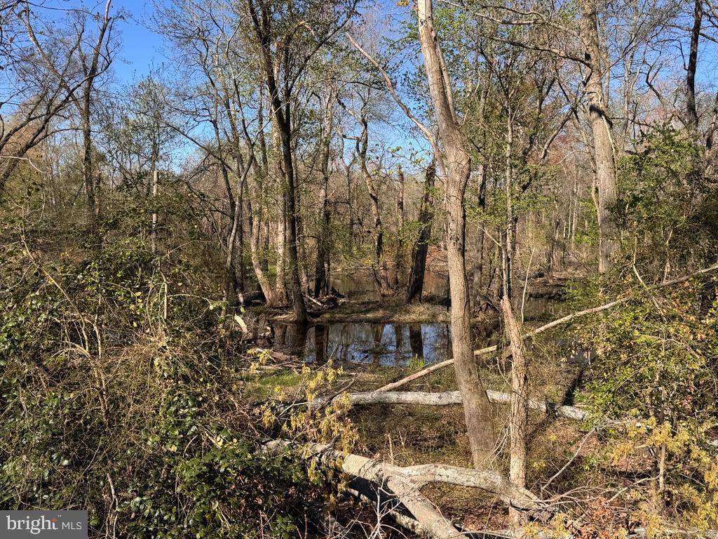 27202 Sandtown Rd Property Photo 8