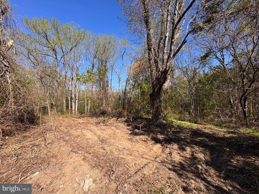 27202 Sandtown Rd Property Photo 10