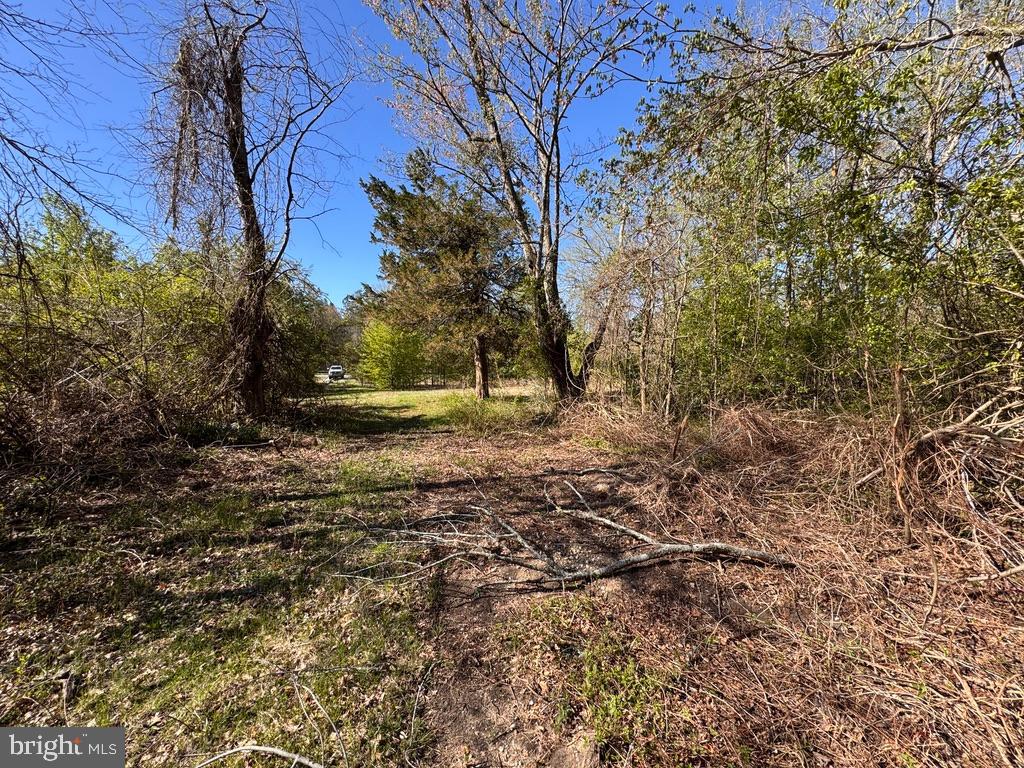 27202 Sandtown Rd Property Photo 11