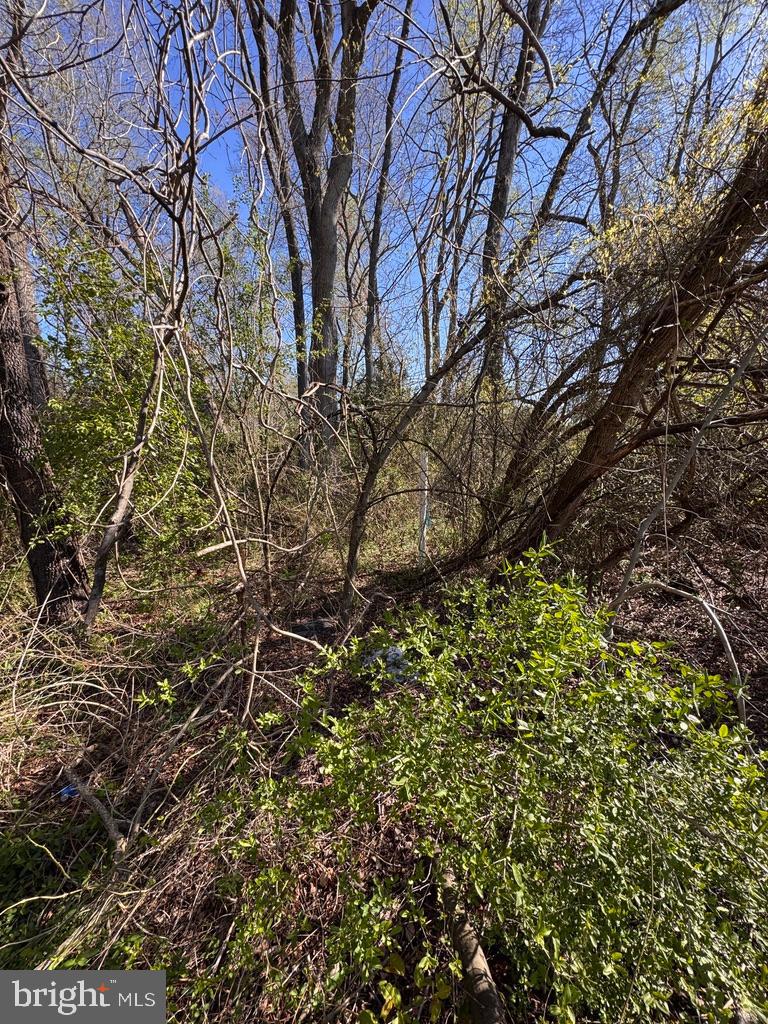 27202 Sandtown Rd Property Photo 12