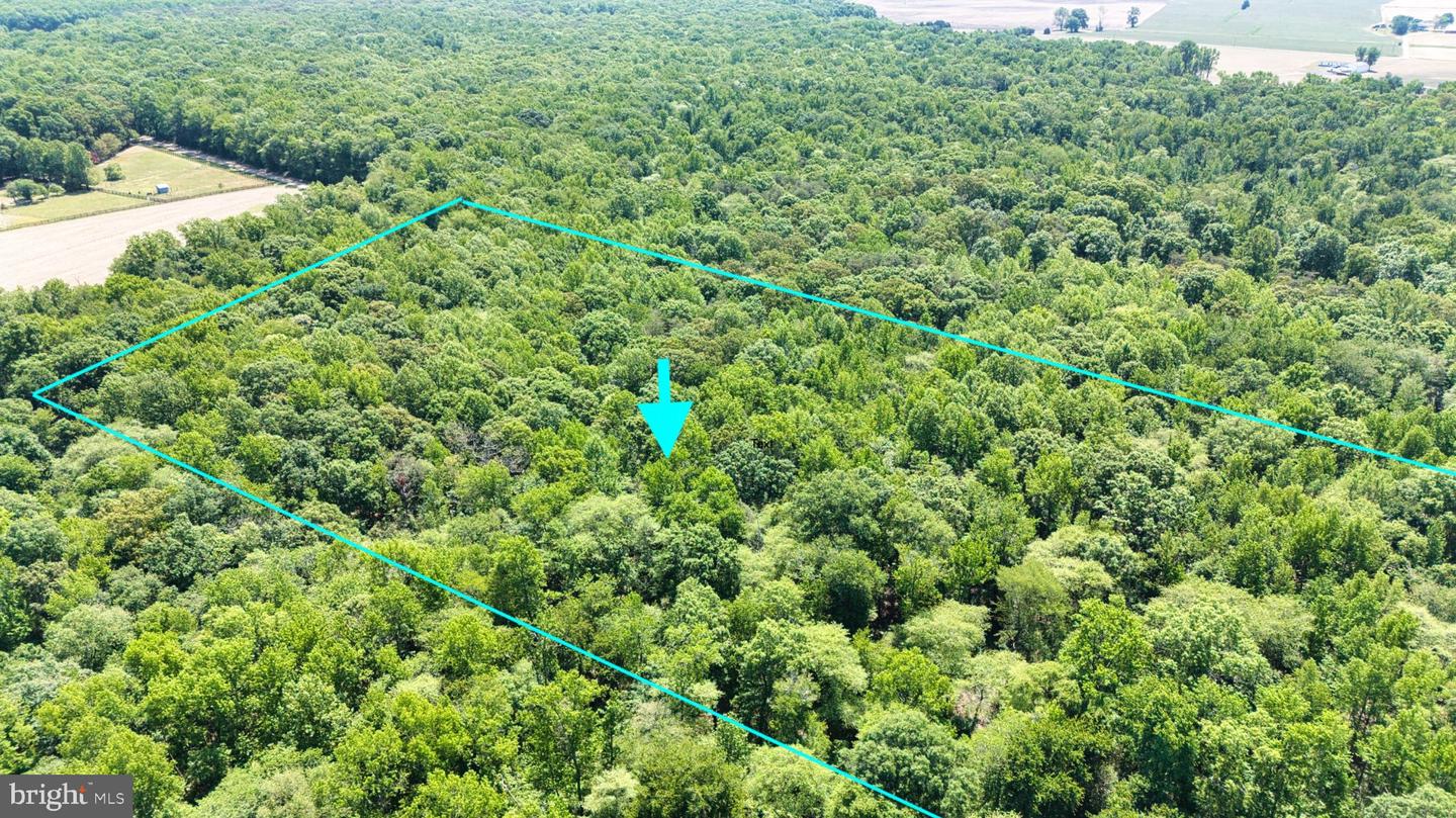 0 Trunk Rd Property Photo 3