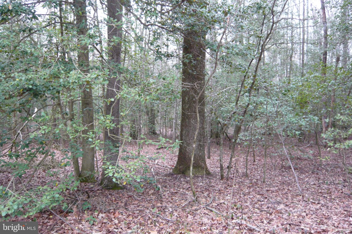 0 Trunk Rd Property Photo 9