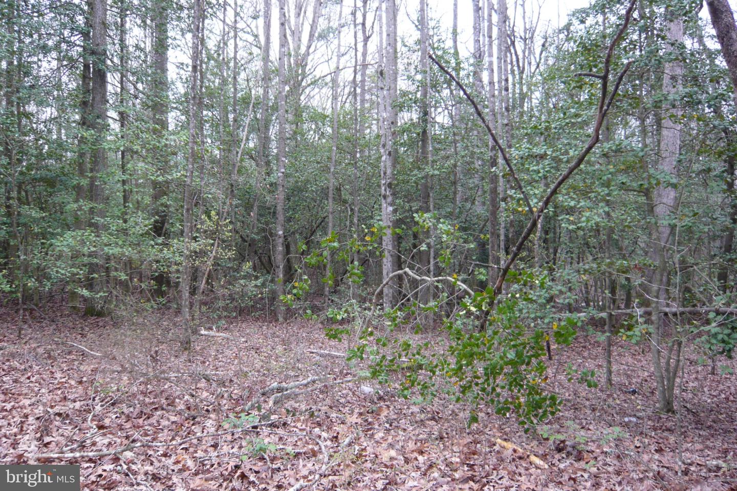 0 Trunk Rd Property Photo 10