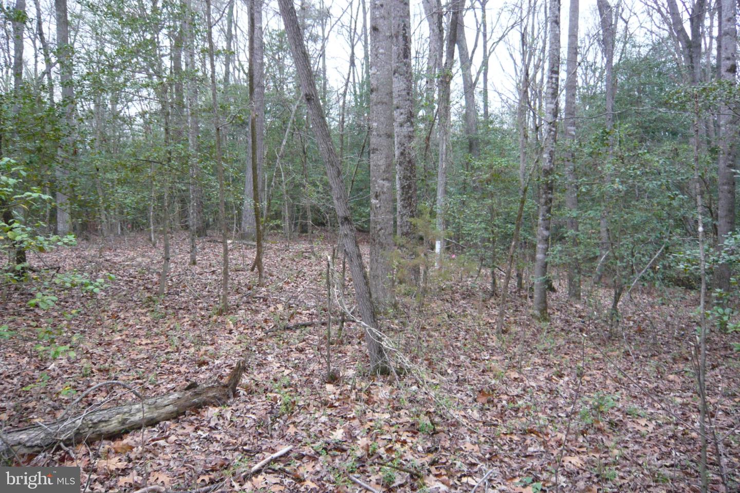 0 Trunk Rd Property Photo 11