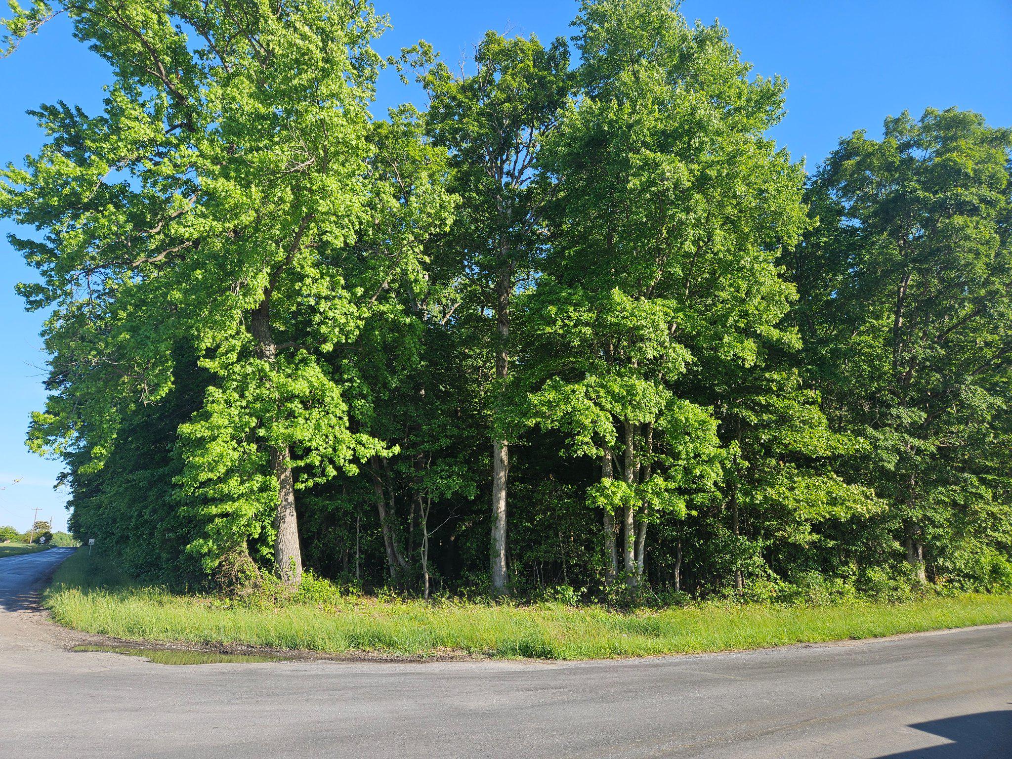 Lot 1 E Sunset Ave Property Photo 1